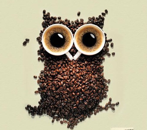 Beans and beyond - coffee-owl-poster