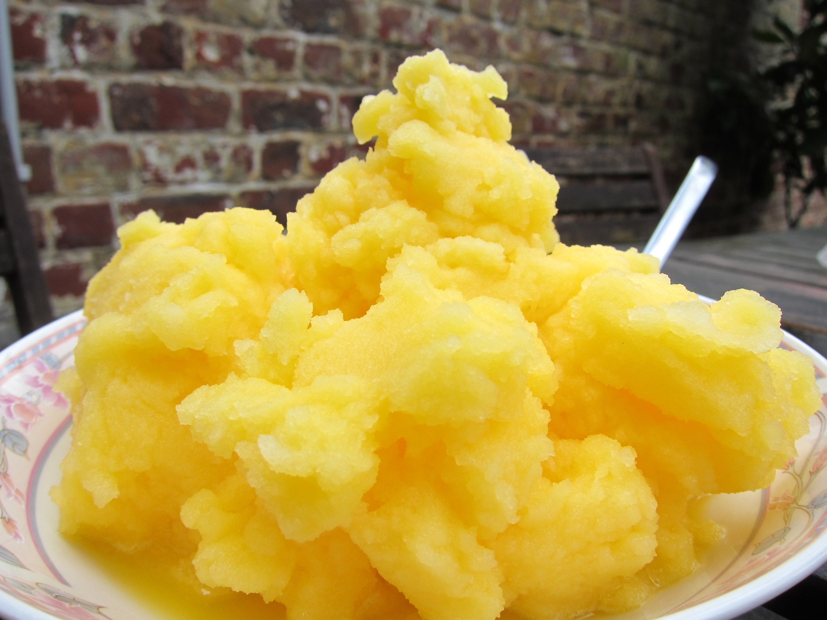 Clementine sorbet, fresh from the churning