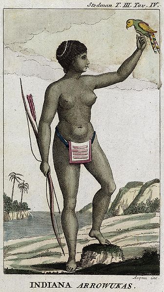 The Arawaks - one of the indigenous people of the Caribbean credited with the early use of Arrowroot 