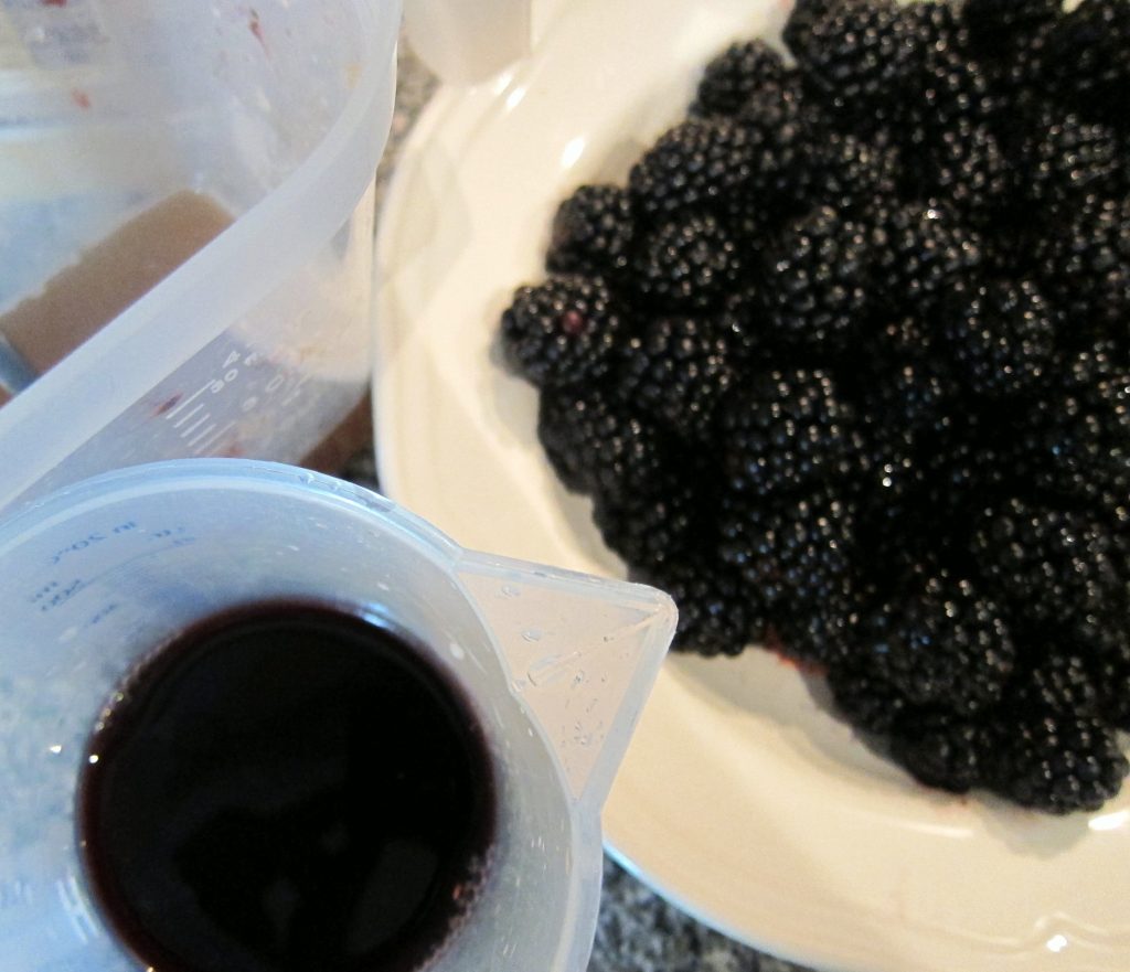 Simple sugar syrup (on raw cane sugar), delicious blackberries and Pinot Noir red wine - all you need for the sorbet