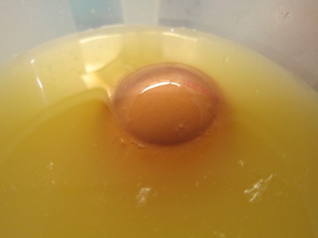 The reliable Egg test indicates when the sugar level of the juice is adequate as a sorbet base
