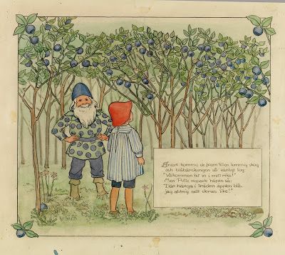 Blueberries have a strong standing in Swedish culture - here, a telling image from the classic children's tale "The Adventures of Putte in the Blueberry forest"
