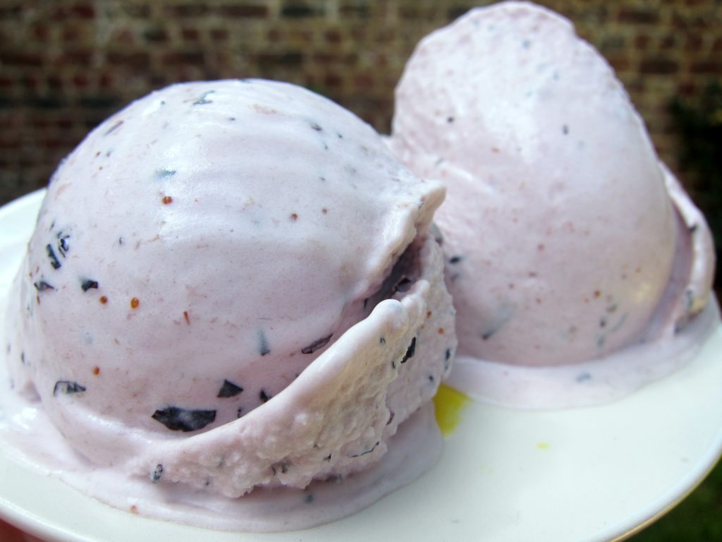 Blueberry Yoghurt ice cream