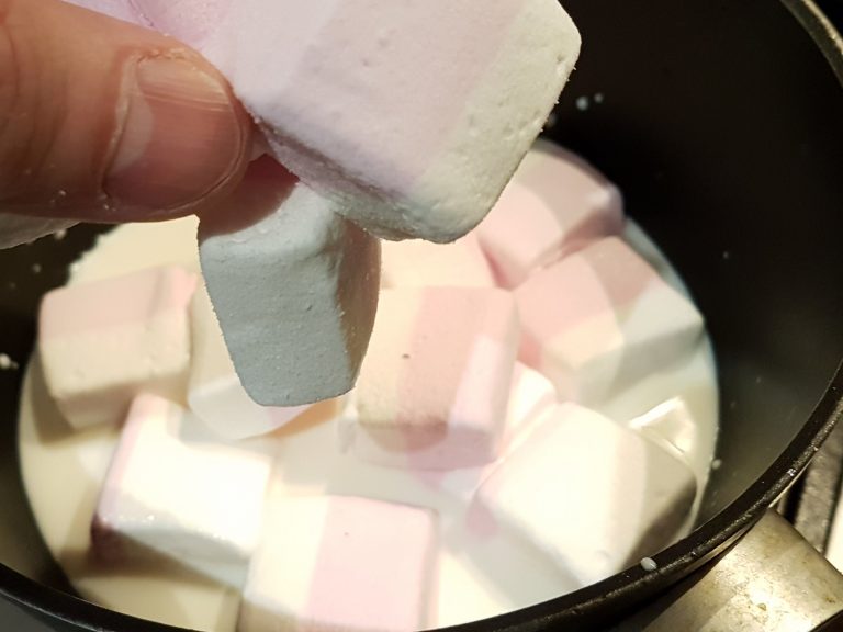 Marshmallow chocolate ice cream ice cream nation